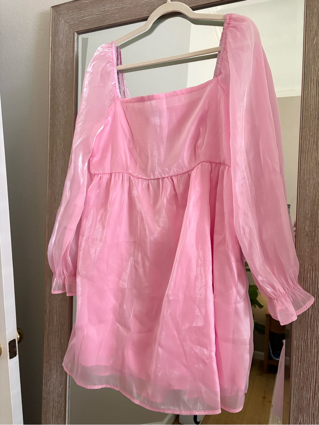 Semi Sheer Pink Puff Sleeve Mini Dress